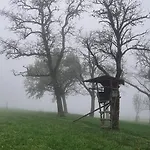 Mit Bergblick Auf Kremsmauer - Ruhig Und Hundefreundlich