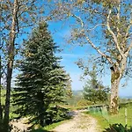 Mit Bergblick Auf Kremsmauer - Ruhig Und Hundefreundlich *