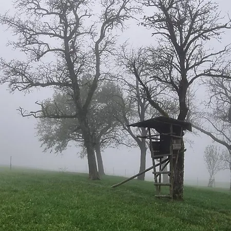 Mit Bergblick Auf Kremsmauer - Ruhig Und Hundefreundlich