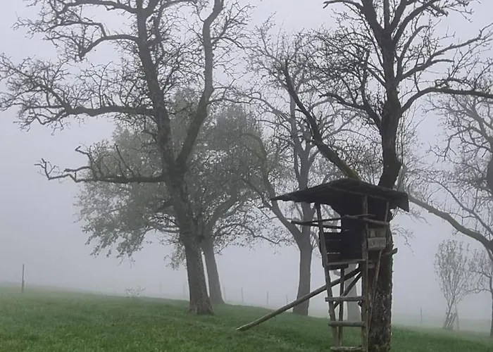 Mit Bergblick Auf Kremsmauer - Ruhig Und Hundefreundlich