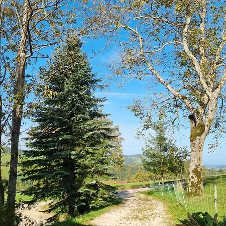 Mit Bergblick Auf Kremsmauer - Ruhig Und Hundefreundlich *